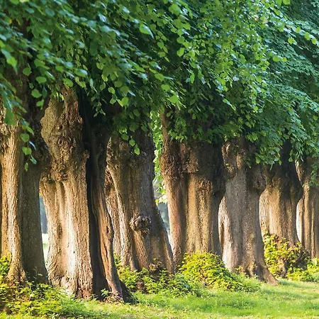 Private Nature Luxury Weißenhaus